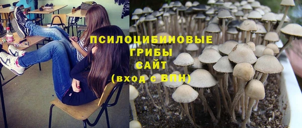 твердый Переславль-Залесский