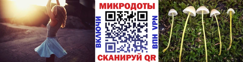 Псилоцибиновые грибы мухоморы  Сольцы 